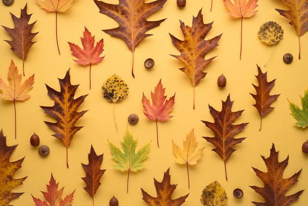 Herbstliches Muster von abgefallenen Blättern und Eicheln auf gelbem Hintergrund. Zusammensetzung des Herbariums - Foto, Bild