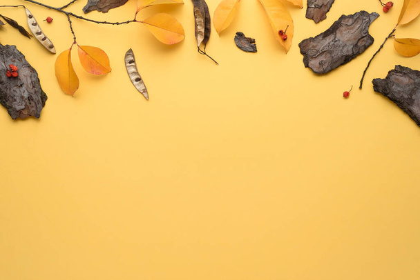 Düşen yapraklar ve bitkilerden oluşan sarı sonbahar arkaplanı - Fotoğraf, Görsel