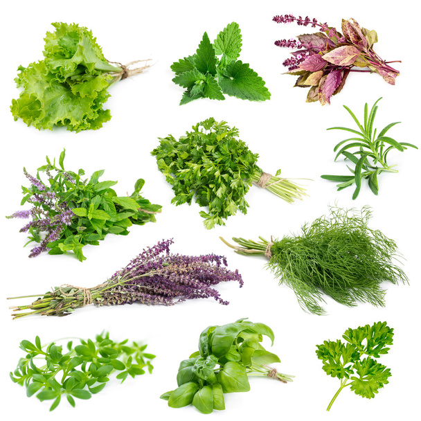 Set di erbe aromatiche e spezie
   - Foto, immagini