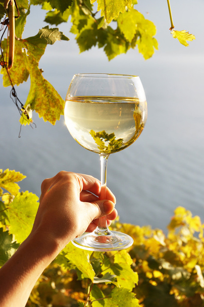 wineglass στο χέρι - Φωτογραφία, εικόνα
