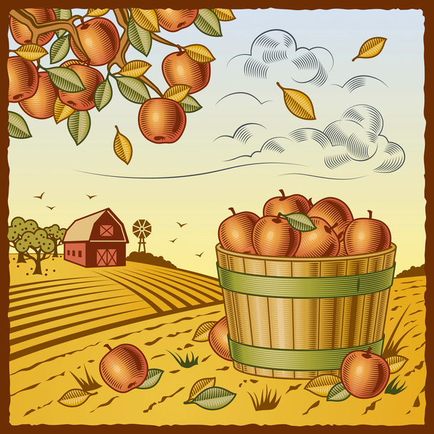 Пейзаж с уборкой яблок
 - Вектор,изображение