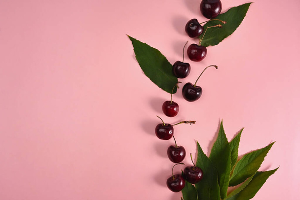 Fresh sweet cherries with leaves on pink background. - Photo, Image
