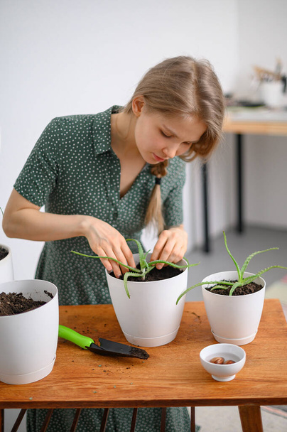 Mädchen verpflanzt Pflanzen zu Hause in weißen Töpfen - Foto, Bild