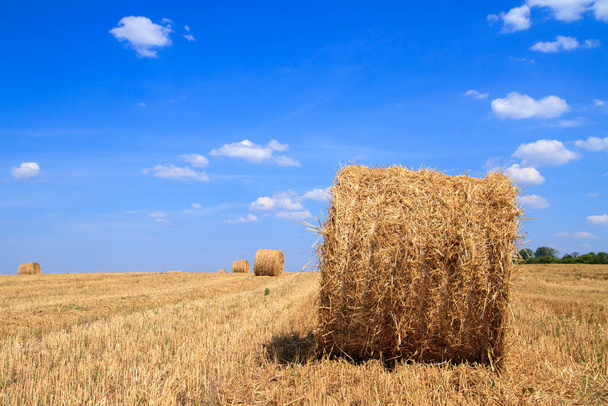 Straw bales waiting for collection in a field on autumn under a blue cloudy sky. - Photo, Image
