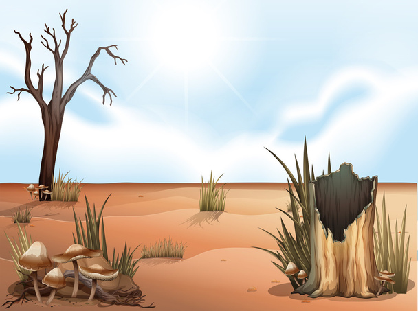 a sivatagban - Vektor, kép