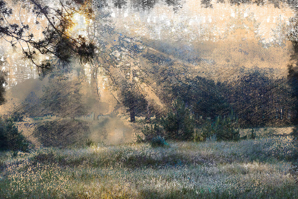 Туман в летнем лесу. Солнечные лучи освещают поляну диких трав. Красота природы. Цифровая акварель - Фото, изображение