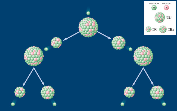 核分裂とウランの連鎖反応 - ベクター画像