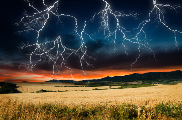 小麦の土地の中の嵐 - 写真・画像