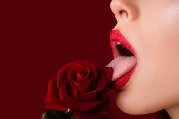 Woman with red rose, macro, on red background. Lips with lipstick closeup. Beautiful woman lips with rose. Girl blowjob with tongue, oral sex, symbol. - Photo, Image