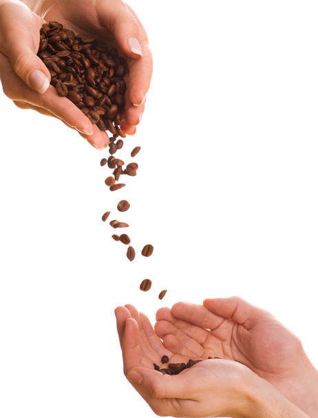 コーヒー豆の一握り - 写真・画像