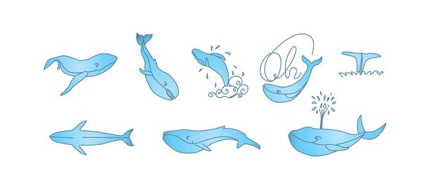 Baleines bleues prêtes. Baleines vecteur illustration dessinée à la main de l'isolement d'un fond blanc. - Vecteur, image