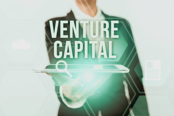 Inspirace ukazuje znamení Venture Capital. Koncept znamená kapitál investovaný do projektu, v němž existuje riziko, že dáma v obleku představuje mobilní zařízení s futuristickým rozhraním. - Fotografie, Obrázek
