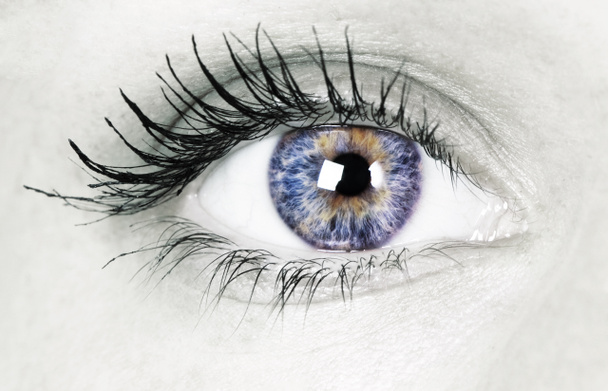 Hermoso ojo
 - Foto, imagen