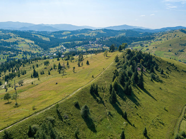 Green mountains of the Ukrainian Carpathians on a sunny summer morning. Coniferous trees on the mountain slopes and green grass. Dirt road on the mountainside. Aerial drone view. - Photo, image