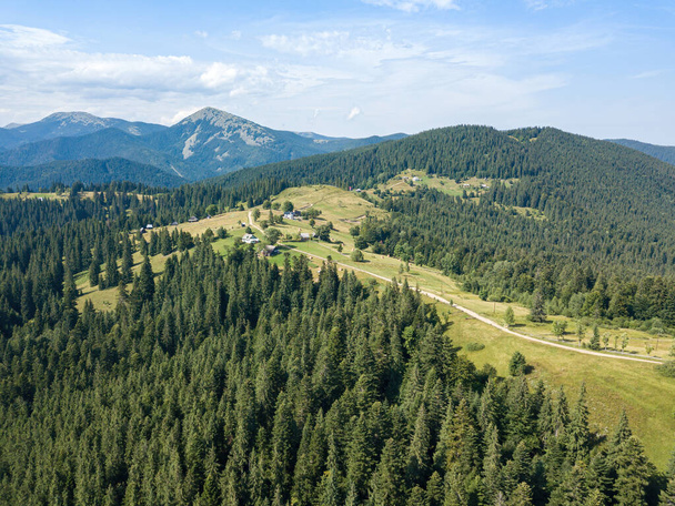 Montañas verdes de los Cárpatos ucranianos en una soleada mañana de verano. Árboles de coníferas en las laderas de las montañas y hierba verde. Vista aérea del dron. - Foto, Imagen
