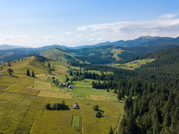Green mountains of the Ukrainian Carpathians on a sunny summer morning. Coniferous trees on the mountain slopes and green grass. Aerial drone view. - Photo, Image