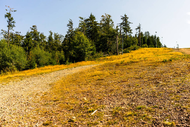 The alpine meadows in Bihor, Romania - Fotó, kép