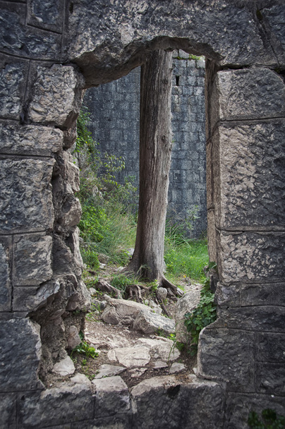 Стены Которской крепости
 - Фото, изображение