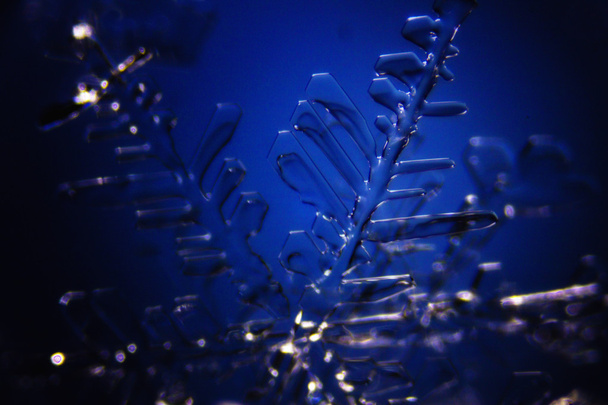 Snow Crystals - Фото, зображення