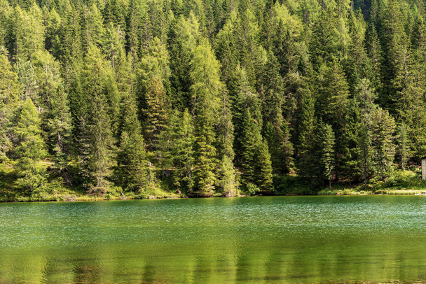 Lago di Misurina (Misurinské jezero) 1754 m., malé krásné alpské jezero a borový les, Sesto Dolomity (Dolomiti di Sesto), italské Alpy, Auronzo di Cadore, Belluno, Benátsko, Itálie, Evropa. - Fotografie, Obrázek