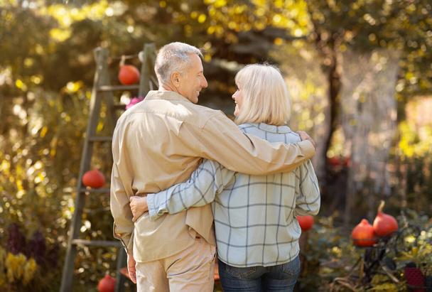 Visszapillantás a szeretetteljes idős házastársak ölelésére és séta a parkban a napsütéses meleg őszi napon - Fotó, kép