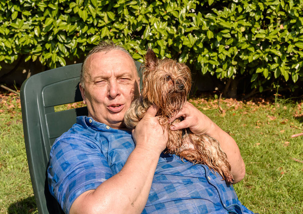 Uomo maturo con Yorkshire terrier dog in una giornata calda in giardino. - Foto, immagini