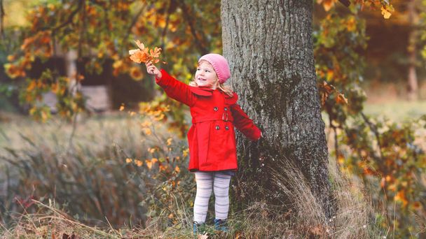 秋の森を散歩する赤いコートのかわいい幼児の女の子。両親と一緒に歩くことを楽しんで幸せな健康的な赤ちゃん。子供と一緒に晴れた秋の日。自然の中で子供たちと積極的なレジャーやアクティビティ. - 写真・画像