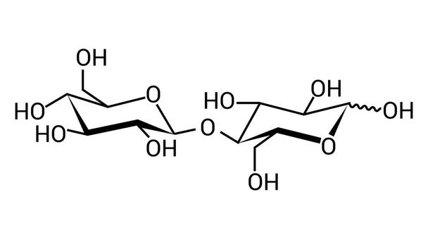 Cellobióz (C6H7 (OH) 4O) 2O kémiai szerkezete - Vektor, kép