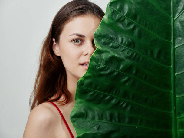 όμορφη γυναίκα σε ένα μαγιό μεγάλο πράσινο φύλλο close-up εξωτικά - Φωτογραφία, εικόνα