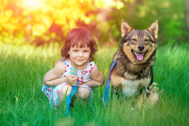Little girl with dog - Фото, изображение
