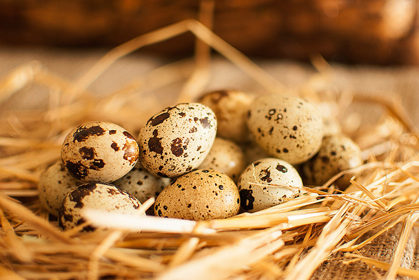 quail eggs - Zdjęcie, obraz