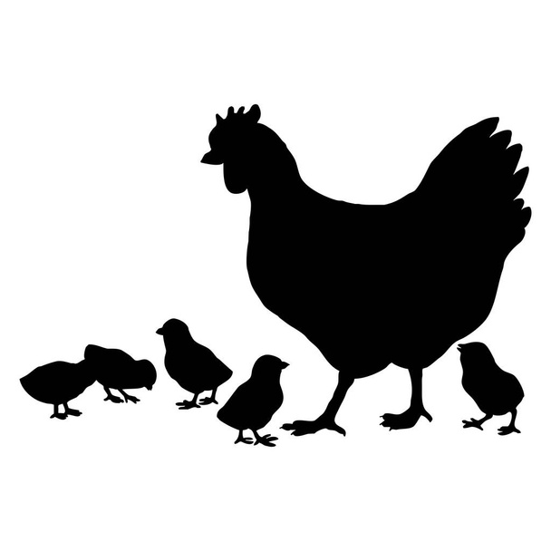 Vector dierlijke illustratie. Zwarte duivin met kuikens op een witte achtergrond. - Vector, afbeelding