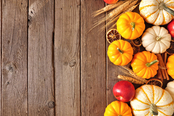 Herbst-Seitenrand aus Kürbissen, Äpfeln und Gewürzen. Draufsicht auf rustikalem dunklem Holzhintergrund mit Kopierraum. - Foto, Bild