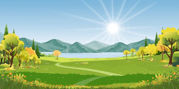 Yeşil tarlalı ve günbatımlı bahar manzarası, Vector düz çizgi filmi Yaz tarım arazisi dağ, nehir, orman, mavi gökyüzü, kırsal manzara kırsal bölge, güneşli bir günde Panorama manzarası - Vektör, Görsel