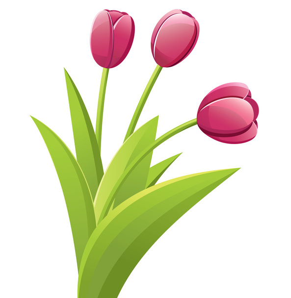 różowe tulipany - Wektor, obraz