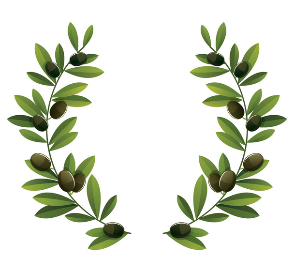 Black olive wreath - Διάνυσμα, εικόνα