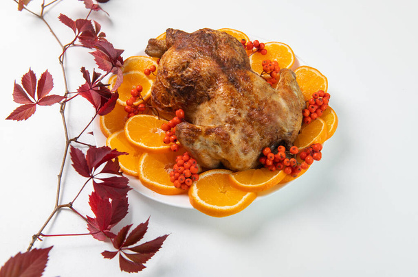 Traditional Christmas or thanksgiving roasted turkey, garnished with orange fruit slices and rowan berries isolated on white background - Photo, Image