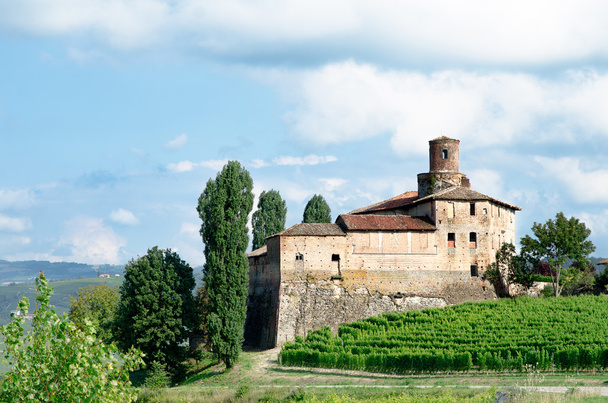 alte burg von la volta, barolo in italien in langhe wineyar - Foto, Bild