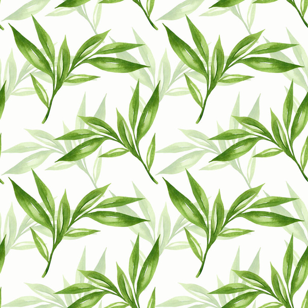Bloemen achtergrond met groene bladeren aquarel in de hand getekend stijl. Groene bladeren naadloos patroon op wit. Foliage achtergrond voor papier, textiel, verpakking en behang. - Foto, afbeelding