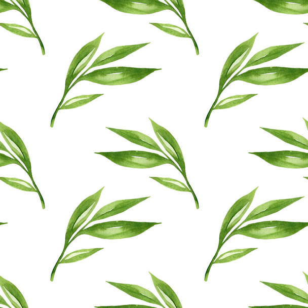 Kwiatowe tło z zielonymi liśćmi akwarela w ręcznie rysowanym stylu. Zielone liście bezszwowe wzór na białym. Folie do papieru, tekstyliów, opakowań i tapet. - Zdjęcie, obraz