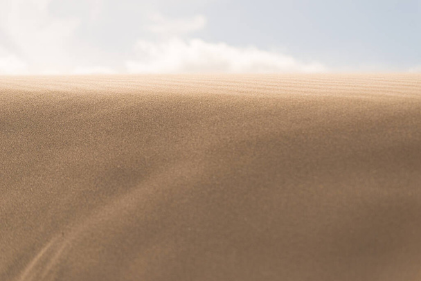Fine texture and lines of sandy dunes in a desert. - 写真・画像