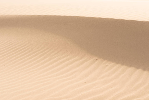 Skagen, Denmark - september 28 2014: Fine texture and lines of sandy dunes in a desert. - Foto, Bild
