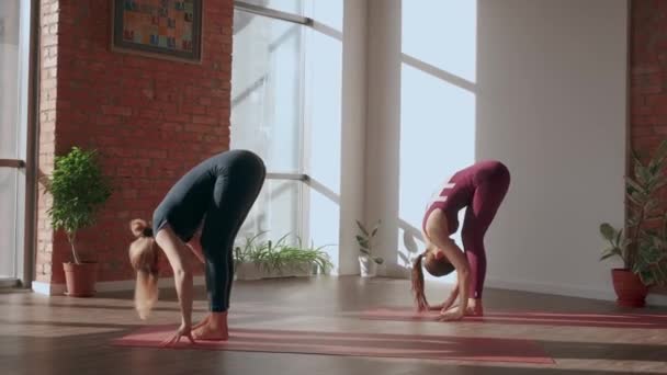 Junge Frauen in Sportuniformen machen komplexe Asanas im Yogastudio. Menschen und Lebensstil - Filmmaterial, Video