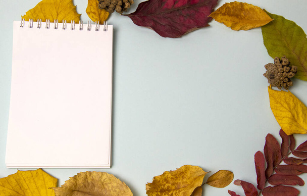 Notebook and autumn leaves on blue background. Top view. - Φωτογραφία, εικόνα