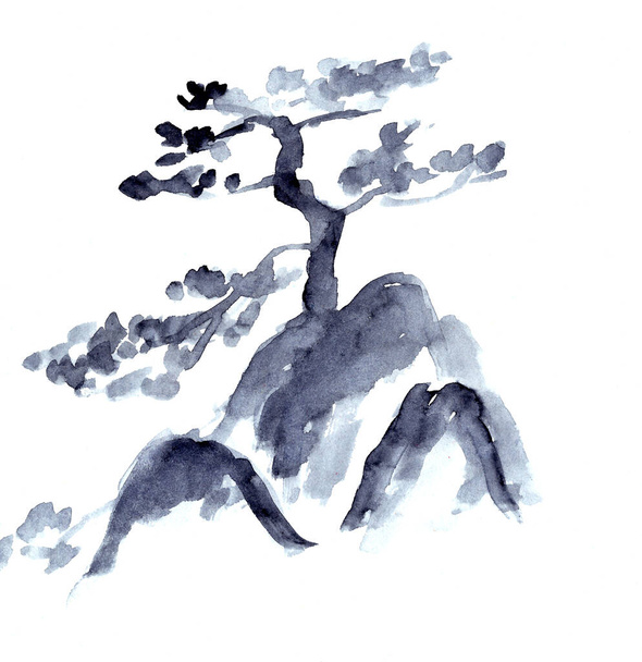 Сосна на каменном монохромном черно-белом китайском рисунке тушью. Высокое качество иллюстрации - Фото, изображение