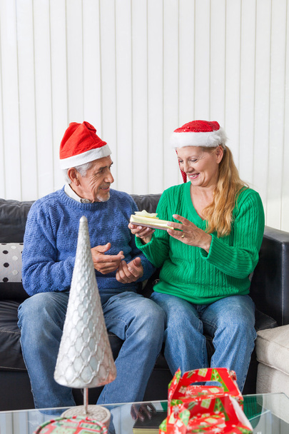 Senior couple give christmas present - Foto, Imagen