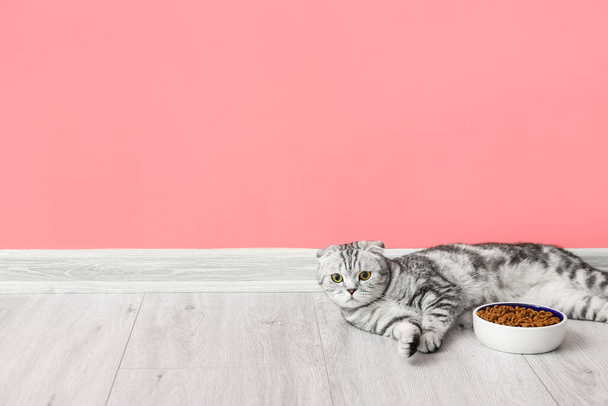 Симпатичная кошка и миска с едой дома - Фото, изображение