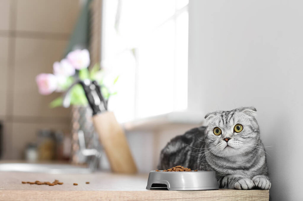 Mignon chat et bol avec de la nourriture dans la cuisine - Photo, image