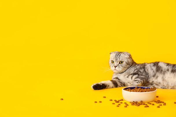 Симпатичная кошка и миска с едой на цветном фоне - Фото, изображение