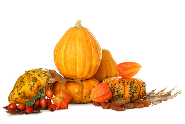 Осенняя композиция с тыквами и физалисом на белом фоне - Фото, изображение